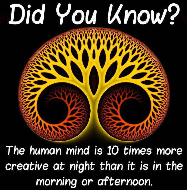 #Interesting Facts !